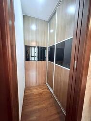 Holland Link (D10), Terrace #617746251